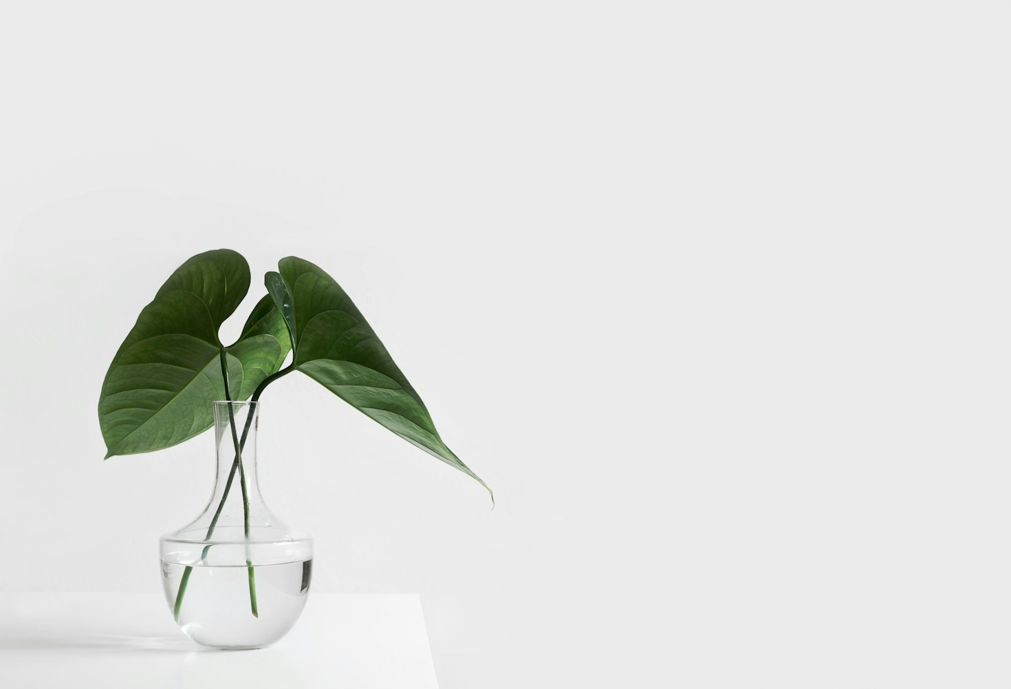 Your Guide to Smarter and Happier Living